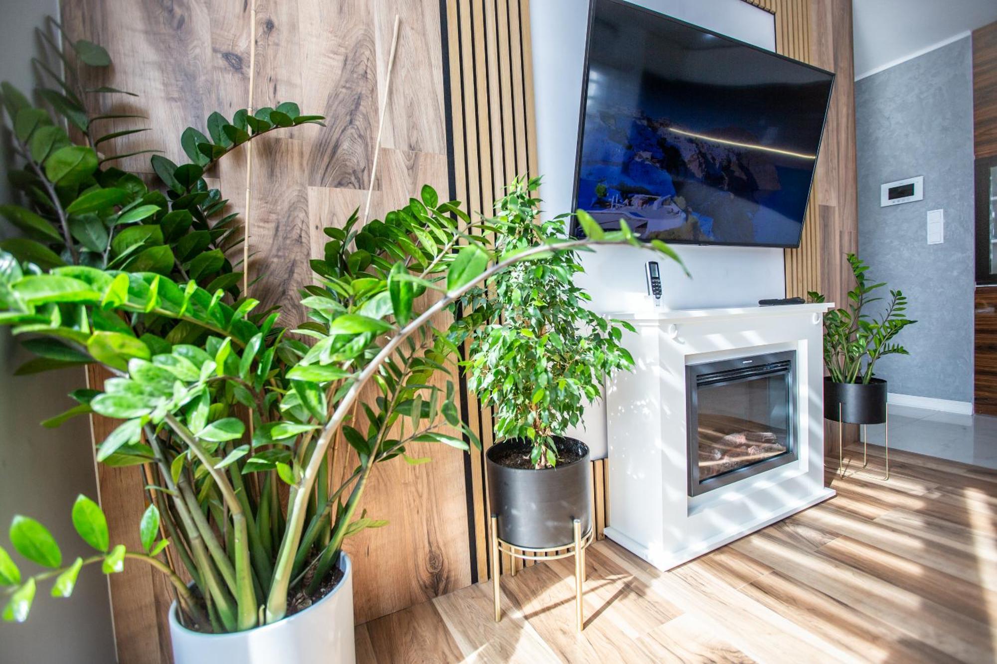 Wlodarska 4A Apartament Premium 크라쿠프 외부 사진